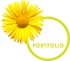 portfolio-top